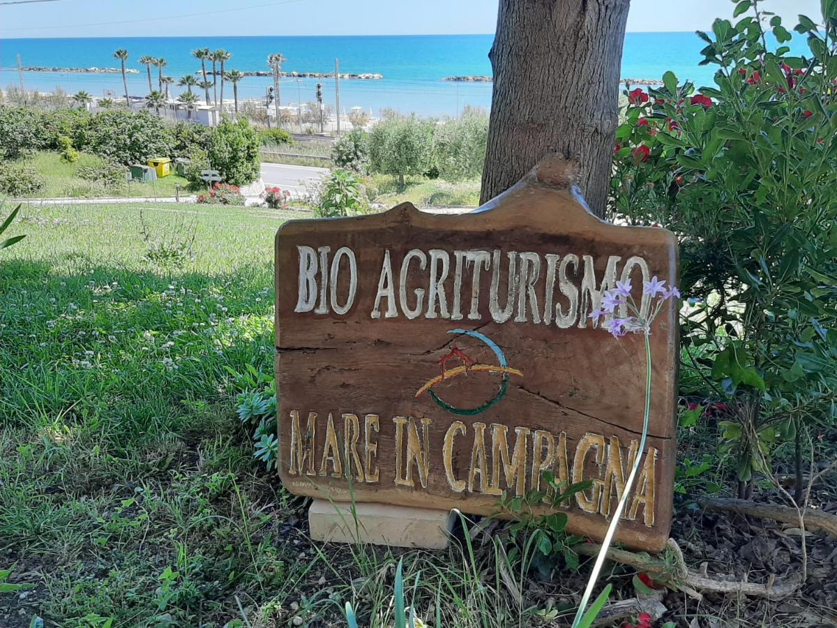 Bio Agriturismo Mare In Campagna Campofilone Exterior foto