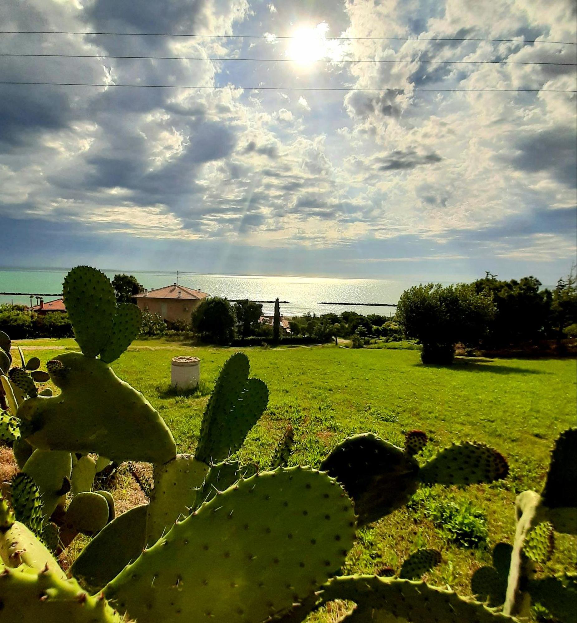 Bio Agriturismo Mare In Campagna Campofilone Exterior foto