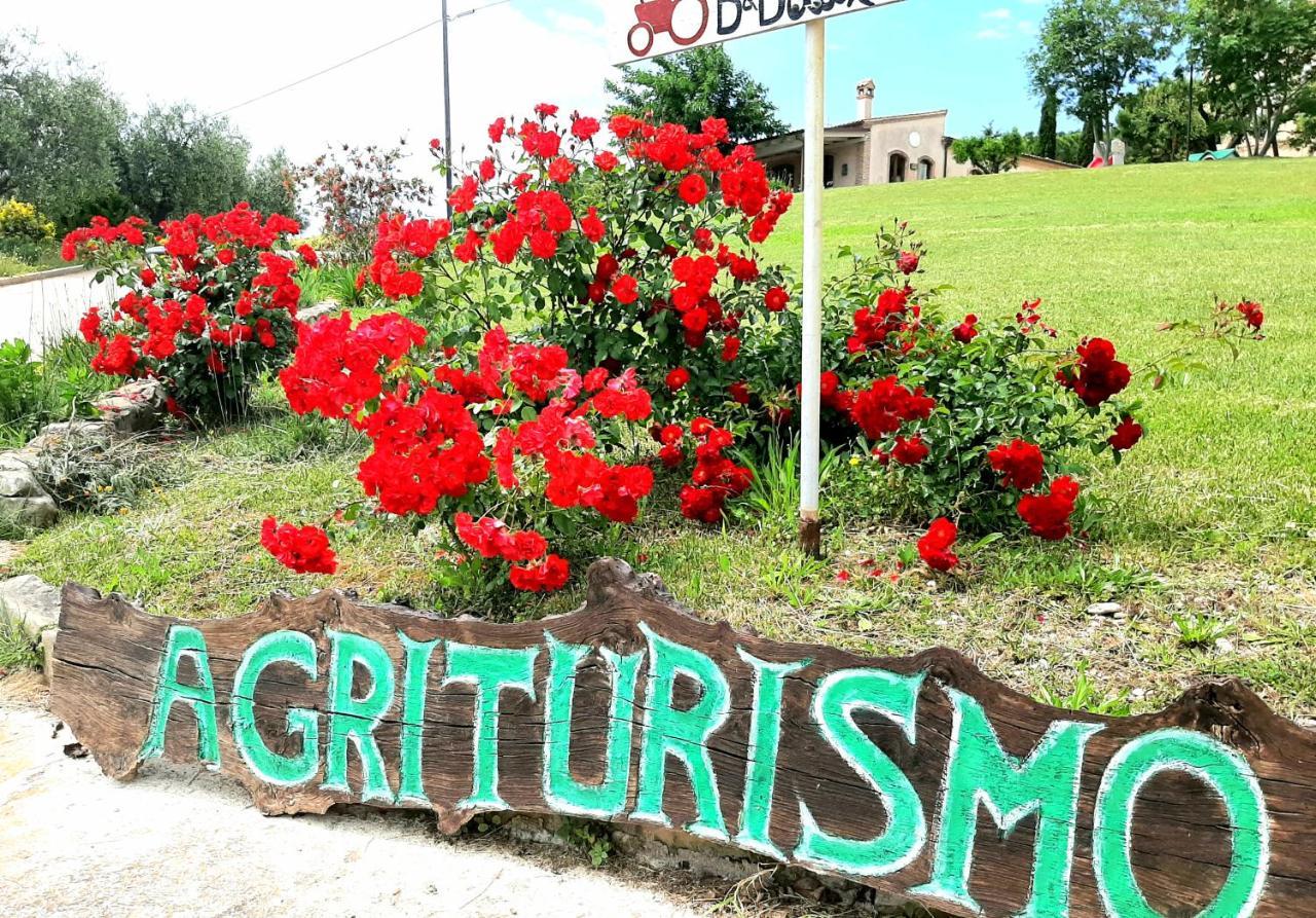 Bio Agriturismo Mare In Campagna Campofilone Exterior foto